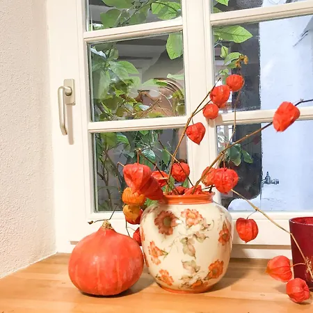 Апартаменты Fuxbau